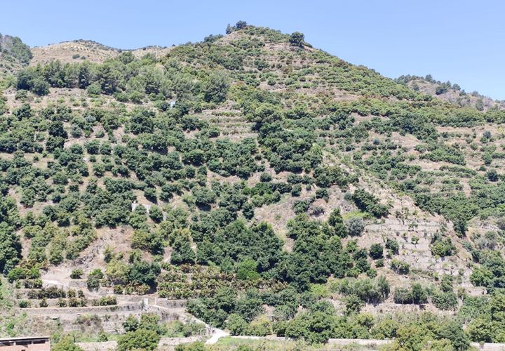 Rækkehus i Jete, Granada, Jete - € 160.000 | Ref: PSRE-TH1194 - foto 1