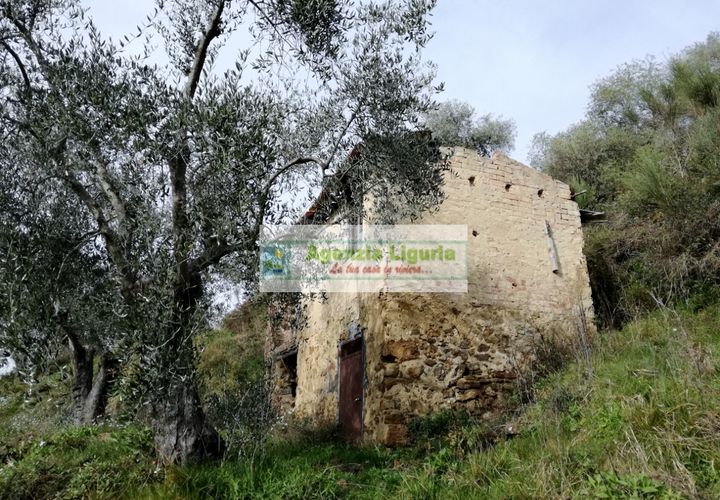 Landejendom i Perinaldo, Imperia, Perinaldo - € 40.000 | Ref: 949 - foto 1
