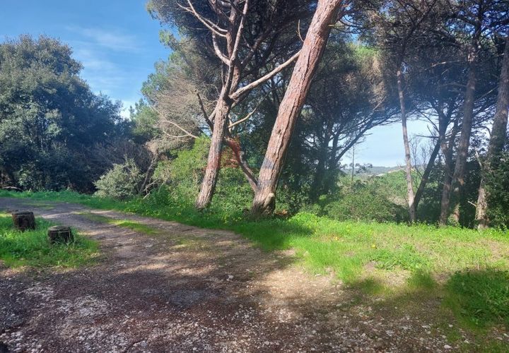 Helårsgrund i Sintra, Lisbon, Sintra - € 150.000 | Ref: 2025-25 - foto 1