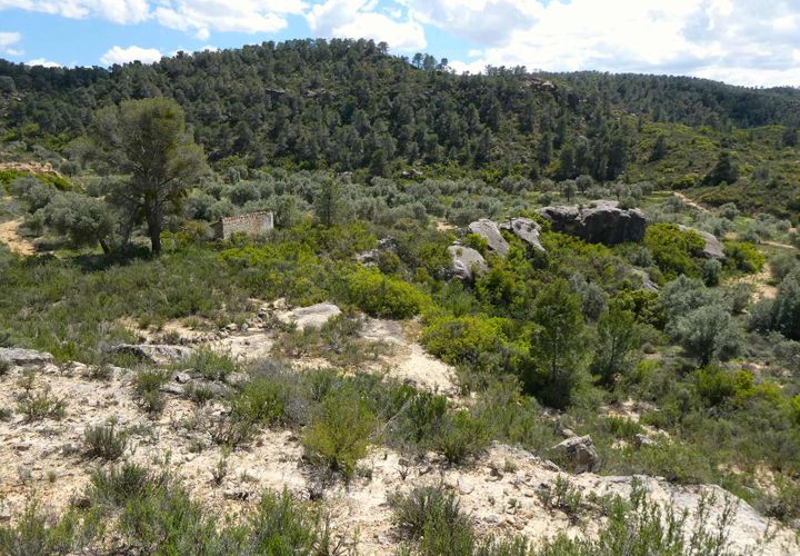Finca i Maella, Zaragoza, Maella - € 32.000 | Ref: 1059 - foto 1