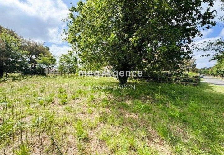 Terra a Moliets-et-Maa, Landes, Moliets-et-Maa - € 268.000 | Ref: 187305 - foto 1