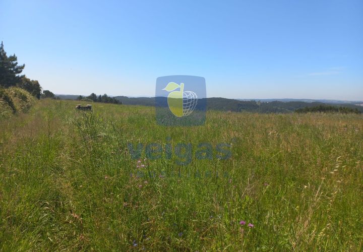 Helårsgrund i Caldas da Rainha, Leiria, Caldas da Rainha - € 35.000 | Ref: CAL-216798 - foto 1