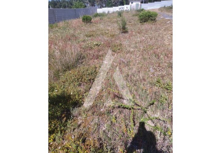 Helårsgrund i Darque, Viana do Castelo, Darque - € 300.000 | Ref: 1350185/25VC - foto 1