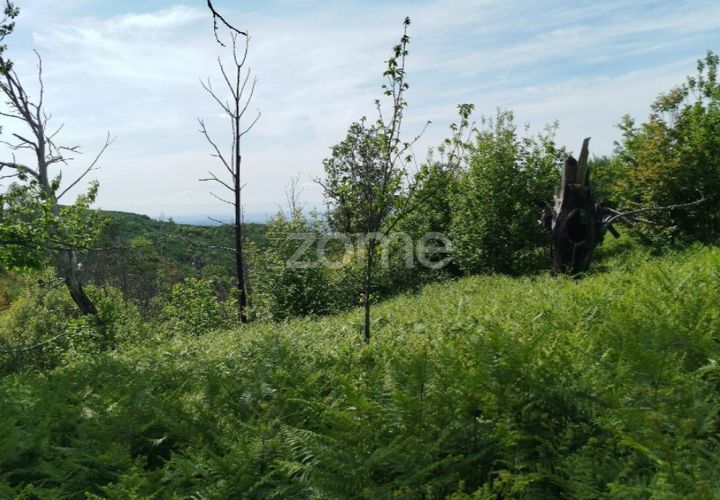 Helårsgrund i Seia, Guarda, Seia - € 50.000 | Ref: ZMPT577401 - foto 1