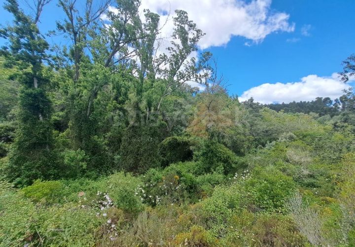 Helårsgrund i Ourique, Beja, Ourique - € 65.000 | Ref: BJ97379 - foto 1