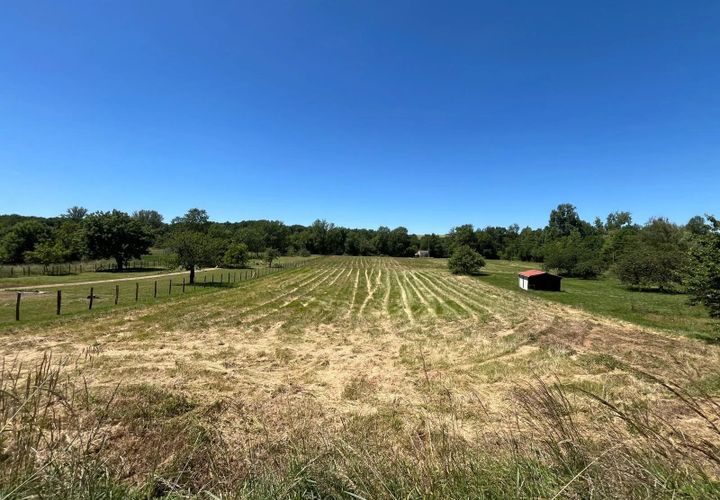 Terra a Aunac, Charente, Aunac - € 37.500 | Ref: BVI81066 - foto 1