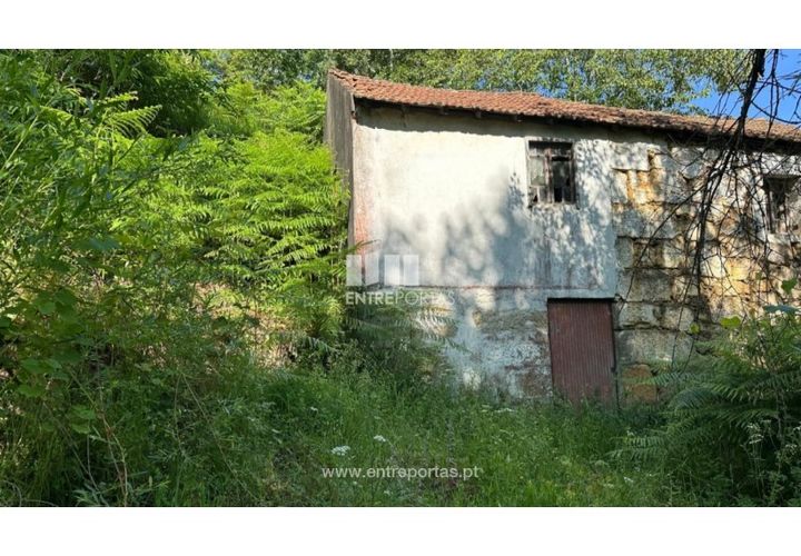 Tomt i Cinfaes, Viseu, Cinfaes - € 65 000 | Ref: MC09800 - foto 1