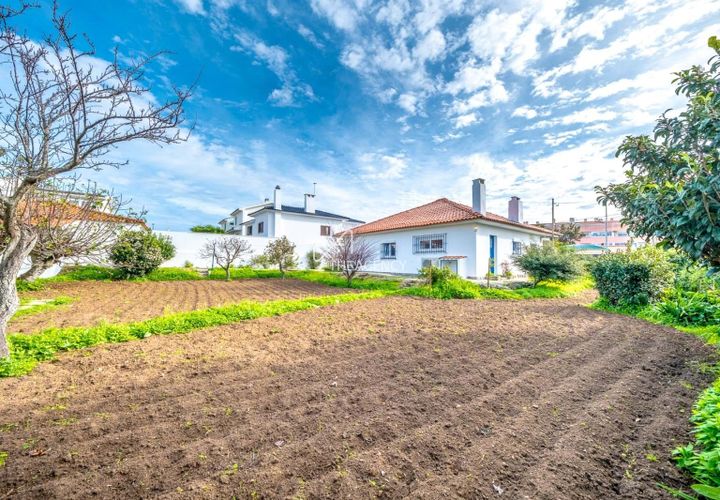 Villa a Alcabideche, Lisbon, Alcabideche - € 3.500/mes | Ref: TAPT01-1401_LA - foto 1