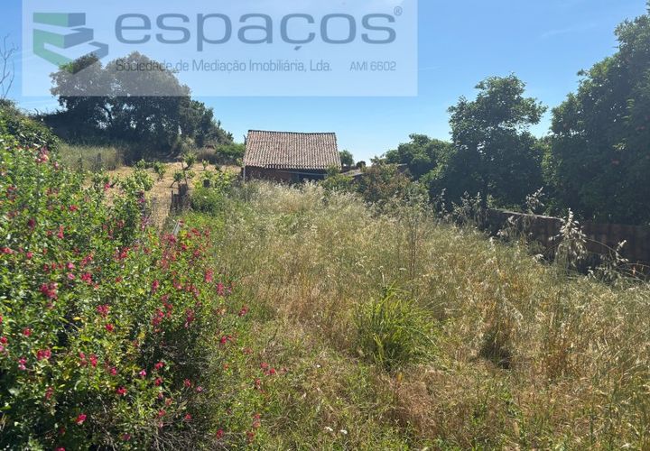 Terreno en Castelo Branco, Castelo Branco, Castelo Branco - € 25.000 | Ref: 5686/AC-FA - photo 1