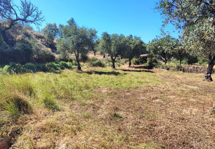 Helårsgrund i Castelo Branco, Castelo Branco, Castelo Branco - € 8.000 | Ref: SÒL_162 - foto 1