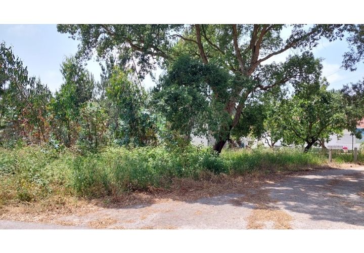 Tomt i Monte Real, Leiria, Monte Real - € 50 000 | Ref: mg1798 - foto 1