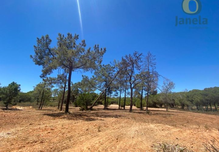 Helårsgrund i Almancil, Faro, Almancil - € 800.000 | Ref: TER_12924 - foto 1
