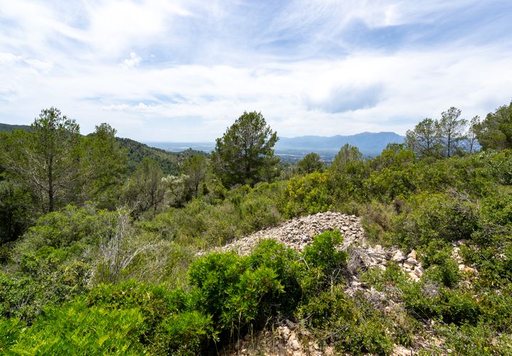 Finca i Tortosa, Tarragona, Tortosa - € 9.000 | Ref: 224 - foto 1