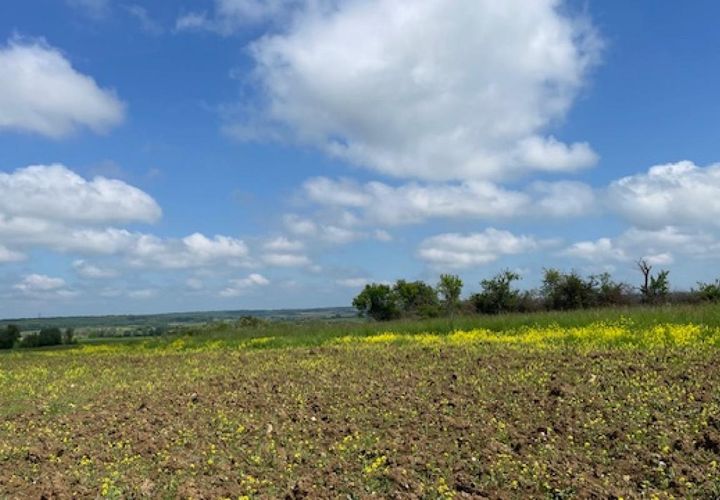 Terra a Haraucourt, Meurthe-et-Moselle, Haraucourt - € 75.000 | Ref: V689 - foto 1
