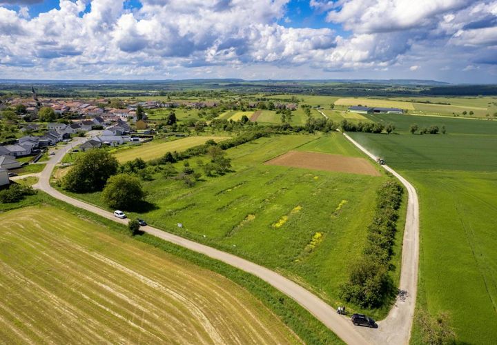 Terra a Haraucourt, Meurthe-et-Moselle, Haraucourt - € 78.000 | Ref: V693 - foto 1
