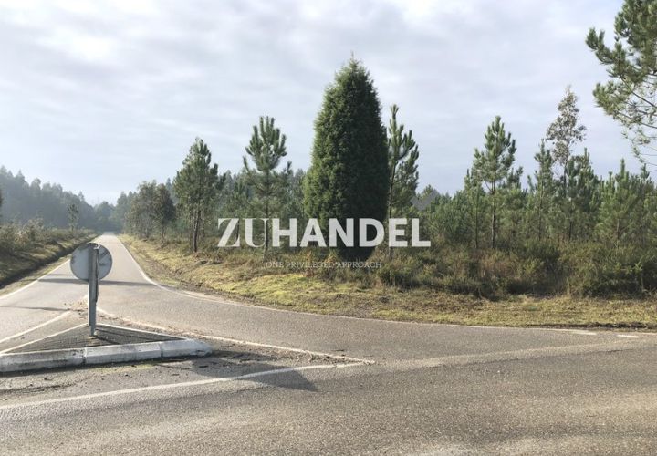 Helårsgrund i Anadia, Aveiro, Anadia - € 322.000 | Ref: ZS_5778 (2) - foto 1