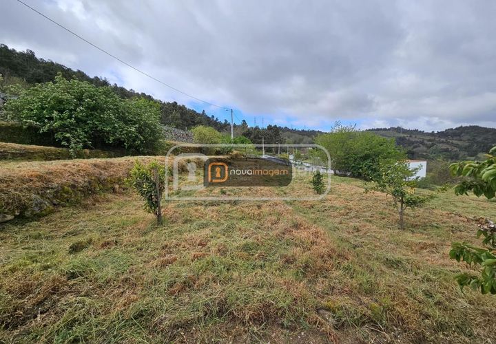 Terra a Armamar, Viseu, Armamar - € 35.000 | Ref: ang.1458 - foto 1