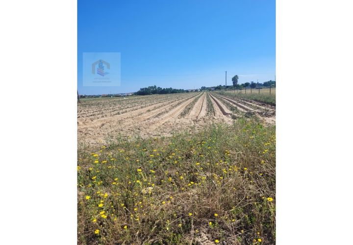 Helårsgrund i Alpiarca, Santarem, Alpiarca - € 52.000 | Ref: VIP_037 - foto 1