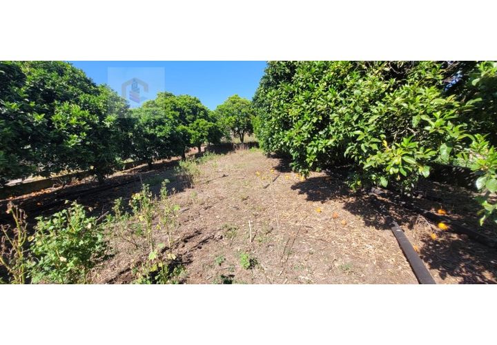 Helårsgrund i Alpiarca, Santarem, Alpiarca - € 58.000 | Ref: VIP_036 - foto 1