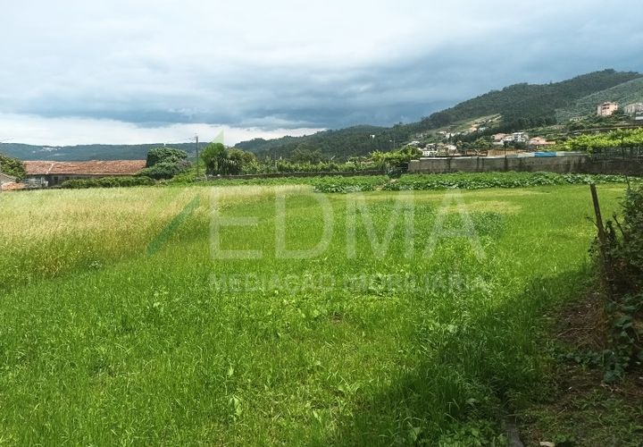 Terra a Roriz, Porto, Roriz - € 50.000 | Ref: MM2406XC20T1 - foto 1