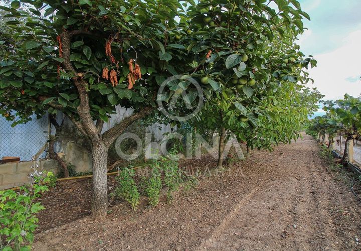 Terra a Onil, Alicante, Onil - € 95.500 | Ref: 243/6818 - foto 1