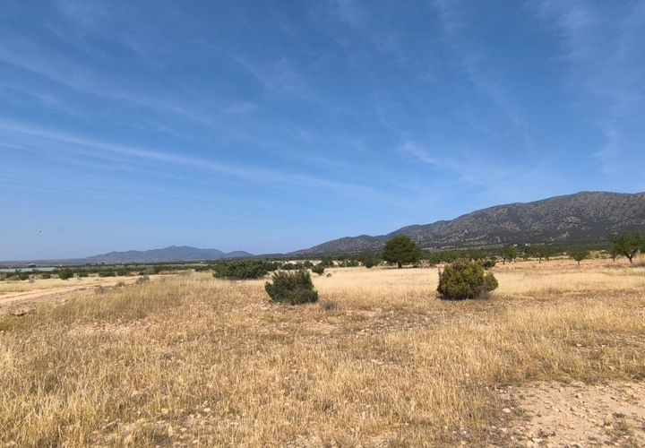 Helårsgrund i Monovar, Alicante, Monovar - € 38.500 | Ref: 61099 - foto 1