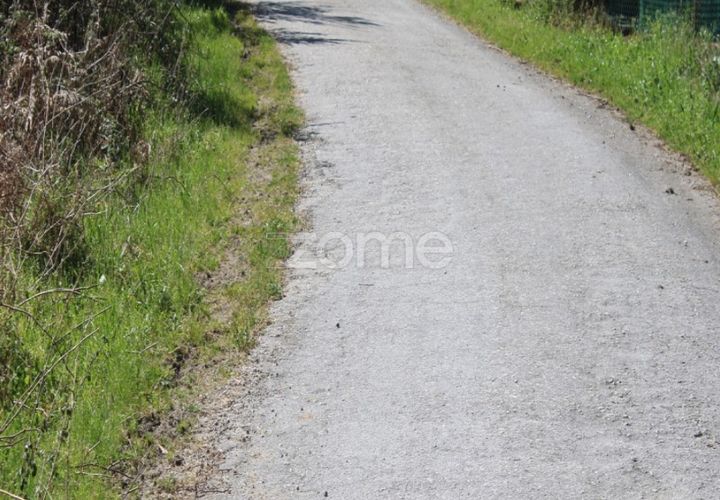 Terra a Moimenta da Beira, Viseu, Moimenta da Beira - € 25.000 | Ref: ZMPT577123 - foto 1
