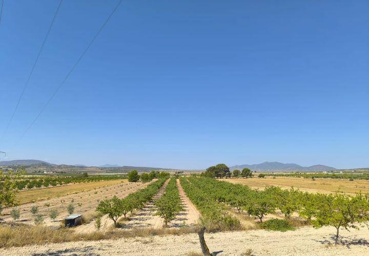 Helårsgrund i Monovar, Alicante, Monovar - € 45.500 | Ref: 61101 - foto 1