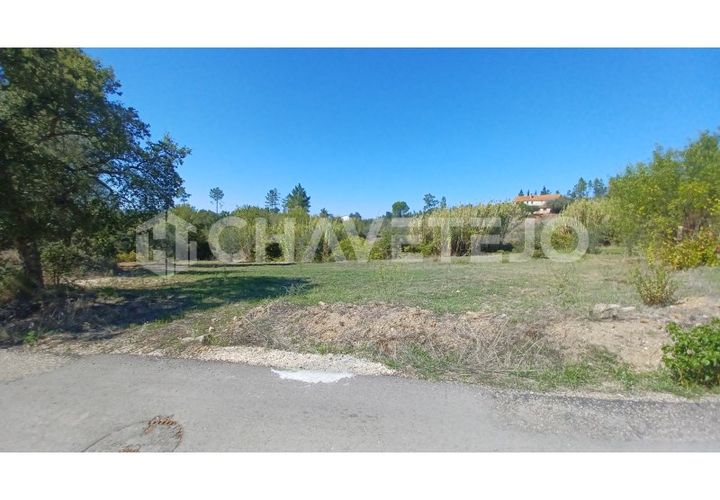 Terra a Tomar, Santarem, Tomar - € 35.000 | Ref: 609/25 - foto 1