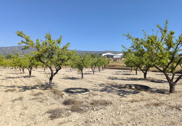 Helårsgrund i Monovar, Alicante, Monovar - € 12.500 | Ref: 61107 - foto 1