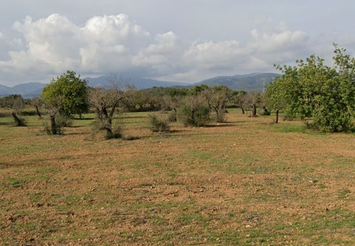 Helårsgrund i Llucmajor, Mallorca, Llucmajor - € 300.000 | Ref: 81726 - foto 1