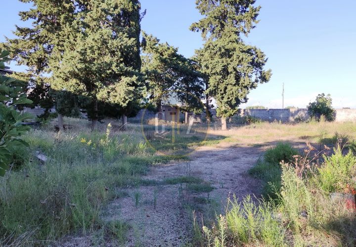 Terra a Martano, Lecce, Martano - € 150.000 | Ref: SE006 - foto 1