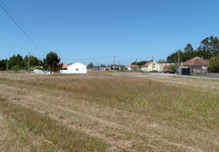 Terra a Quiaios, Coimbra, Quiaios - € 50.000 | Ref: ADF_24 - foto 1