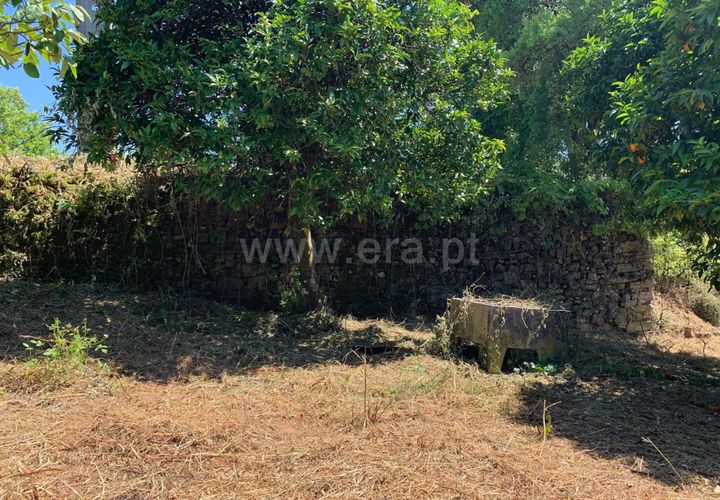 Landejendom i Proenca-a-Nova, Castelo Branco, Proenca-a-Nova - € 72.500 | Ref: 102250104 - foto 1