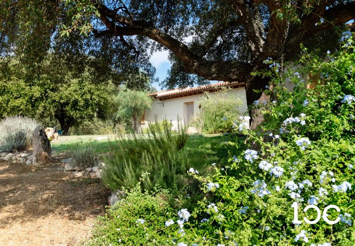 Villa a Padru, Olbia Tempio, Padru - € 610.000 | Ref: PD1140 - foto 1