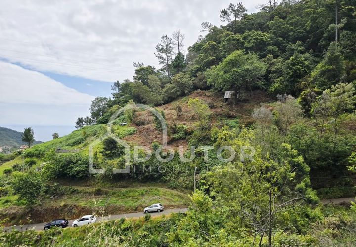 Helårsgrund i Machico, Madeira, Machico - € 350.000 | Ref: DR463 - foto 1
