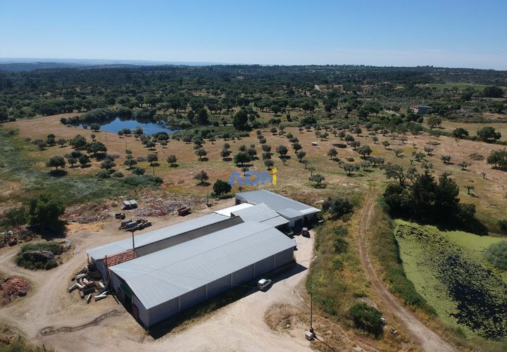 Helårsgrund i Escalos de Cima e Lousa, Castelo Branco, Escalos de Cima e Lousa - € 750.000 | Ref: 125051 - foto 1