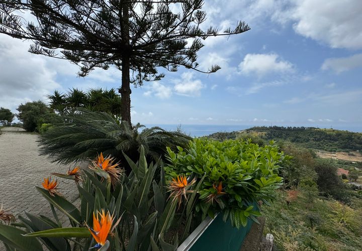 Villa a Castellaro, Imperia, Castellaro - € 590.000 | Ref: 292 - foto 1