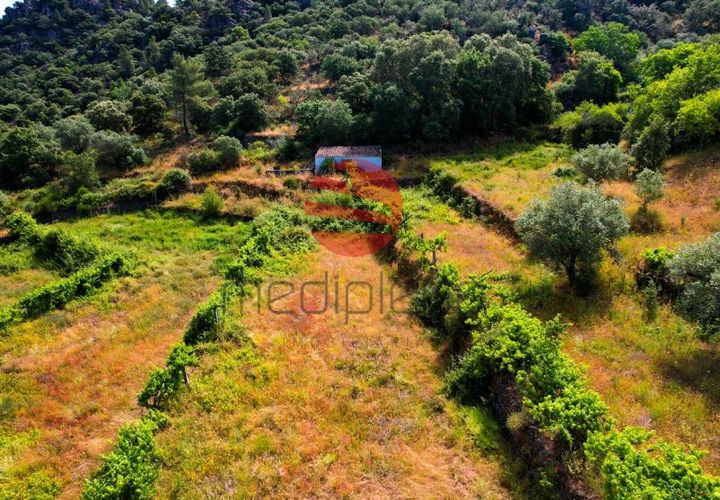 Terra a Longroiva, Guarda, Longroiva - € 17.000 | Ref: 480/MDA - foto 1