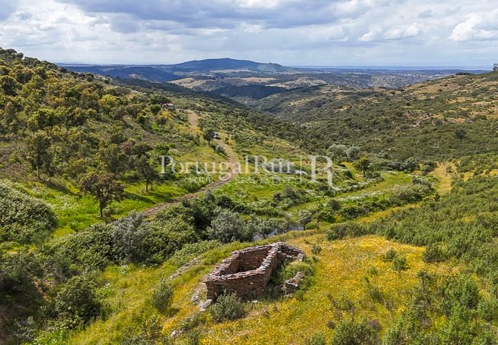Terra a Rosmaninhal, Castelo Branco, Rosmaninhal - € 1.100.000 | Ref: FG282 - foto 1