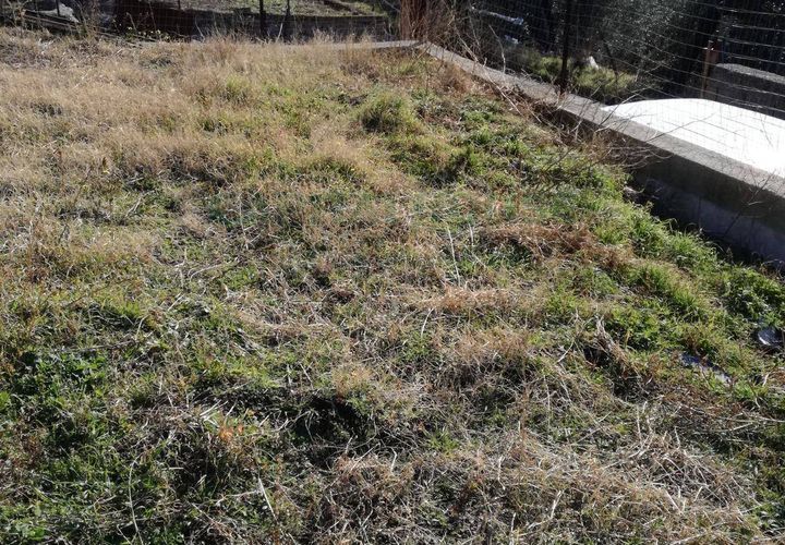 Terra a Avella, Avellino, Avella - € 33.000 | Ref: 459457 - foto 1