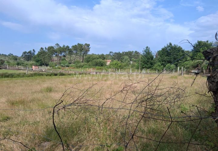 Terra a Seia, Guarda, Seia - € 55.000 | Ref: 382250062 - foto 1