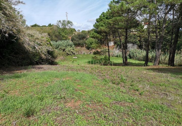 Helårsgrund i Alcobaca, Leiria, Alcobaca - € 25.000 | Ref: 0563-01649 - foto 1