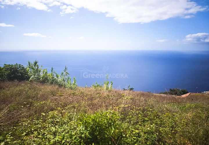 Villa i Ribeira Brava, Madeira, Ribeira Brava - € 235.000 | Ref: 25-1072 - foto 1