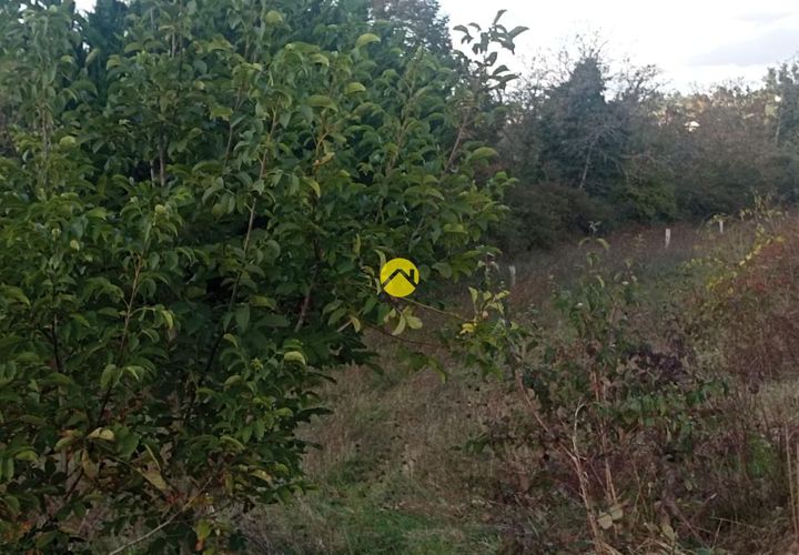 Terra a Rosoy, Yonne, Rosoy - € 157.700 | Ref: 24MS108405 - foto 1