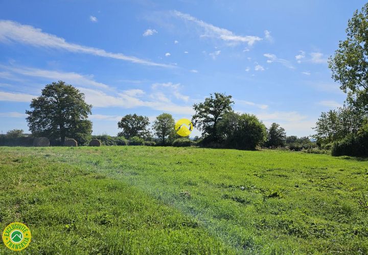 Terra a Venas, Allier, Venas - € 8.000 | Ref: 4CAL108072 - foto 1