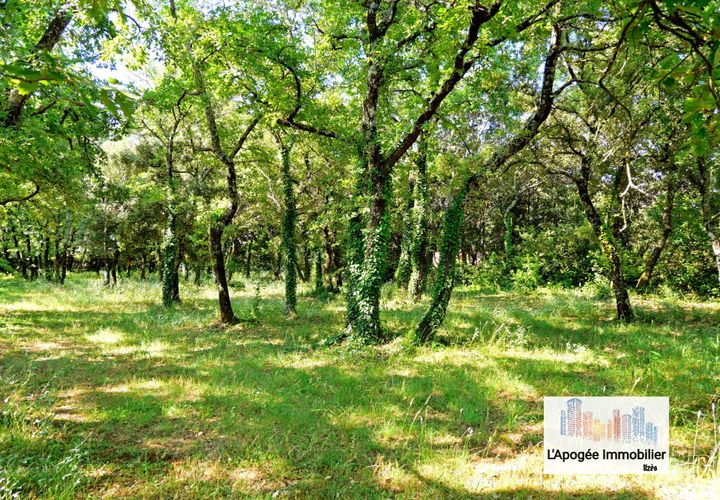 Terra a Uzes, Gard, Uzes - € 205.000 | Ref: 86018165 - foto 1