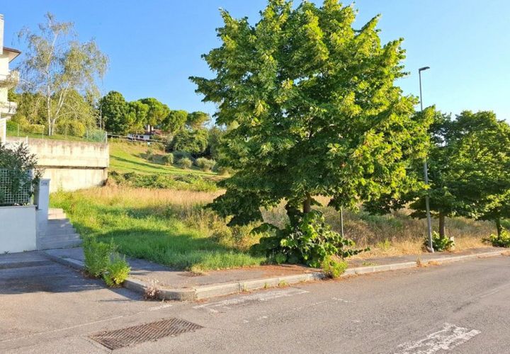 Terra a Bertinoro, Forli-Cesena, Bertinoro - € 67.500 | Ref: 2536342 - foto 1