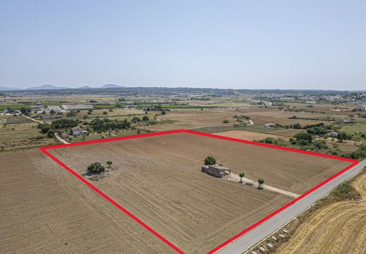 Terra a Petra, Mallorca, Petra - € 235.000 | Ref: 05RBSC049/3010 - foto 1