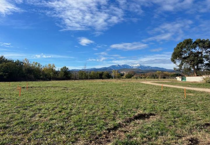 Terra a Thuir, Pyrenees-Orientales, Thuir - € 88.900 | Ref: ES - foto 1